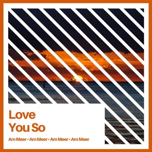 the king khan & bbq show love you so (Piano Rework)