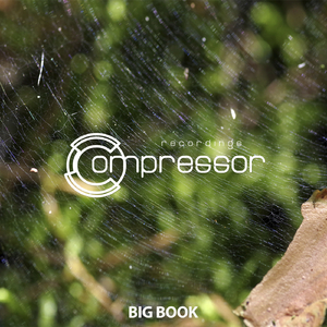 Silicon Souls (Radynamix Dub Remix)