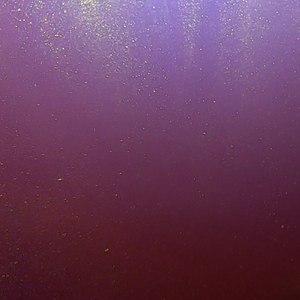 ちいさな生き物と衛星の軌道