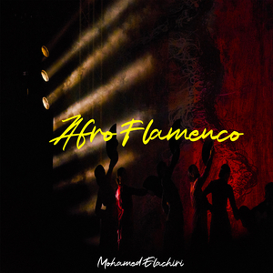 Afro Flamenco
