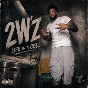 Life in a Cell