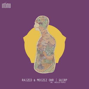 Quirp (Archila Remix)