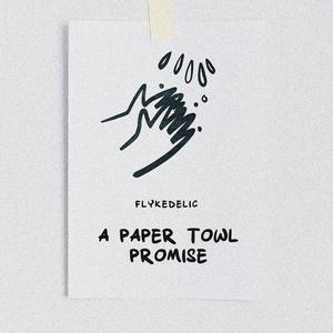 A Paper Towl Promise