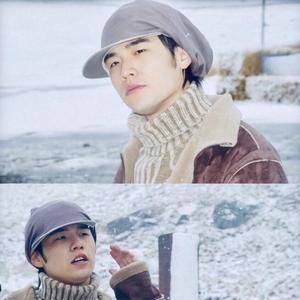 浪漫主义茉莉花