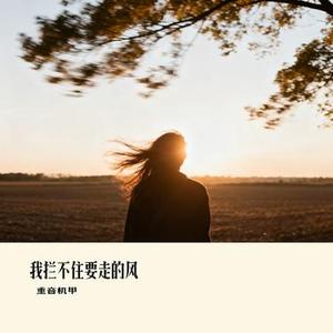 我拦不住要走的风 (Cover 轻烟大叔)