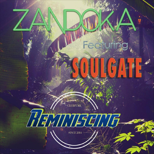 Reminiscing (feat. Soulgate)