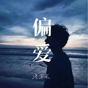 偏爱（深情版）