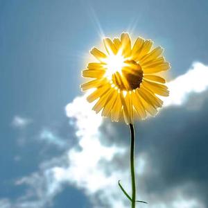 我们爱说笑(独唱版)