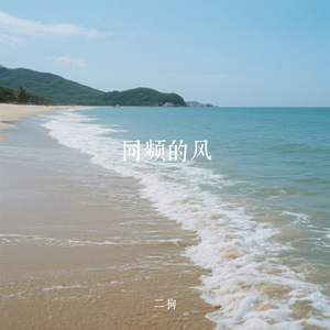同频的风