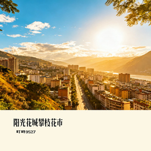 阳光花城攀枝花市