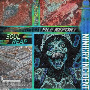 MIMICRY INCIDENT / REVELATIONS