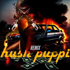 Hush Puppi (feat. Tazer Bouy & TheeOri) (Remix)