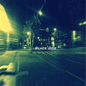 Black Dog