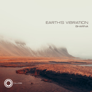 Earth's Vibration (Original Mix)