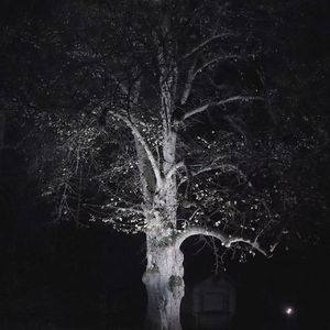 我也曾有过梦想