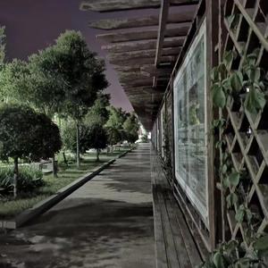 百年孤寂【片段】