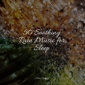 Ocean, Waves, Splashing