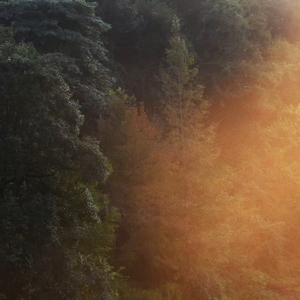 畅调气机 疏解疲劳