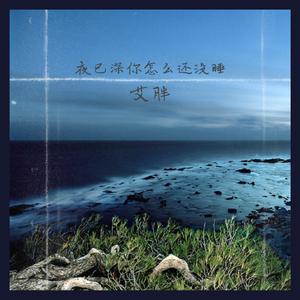夜已深你怎么还没睡