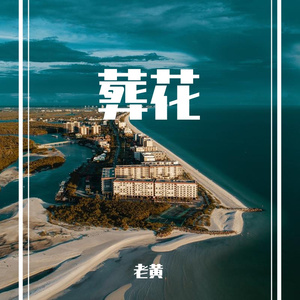 天使的翅膀