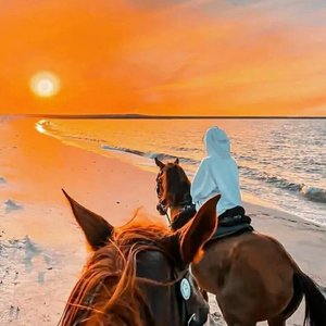 流浪者-今昔离索