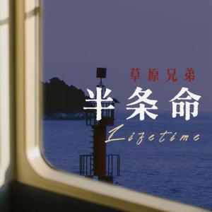 半条命 (DJ九零版)