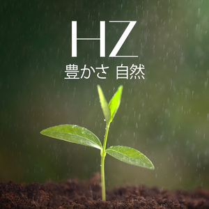 睡眠効果 海と波の音