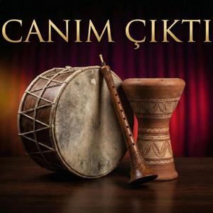 Canım Çıktı