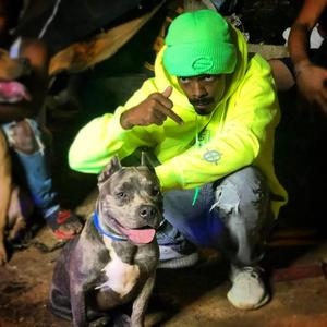Pitbull