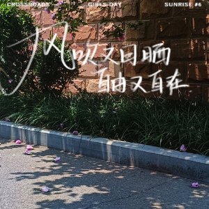 茶啊少年（女声完整版）