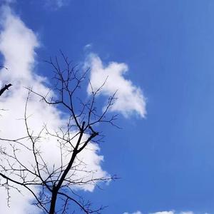 飞檐走壁找到你