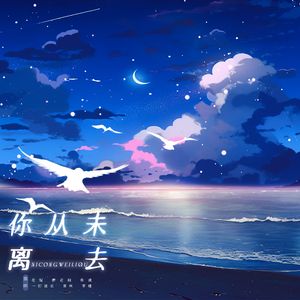 你从未离去