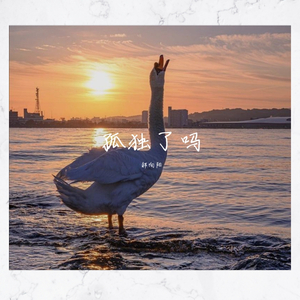 阿帆-孤独了吗（郝向阳 / DJ Bmaster remix）