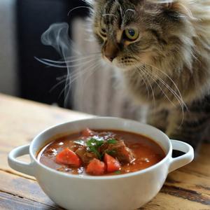 Gulasch