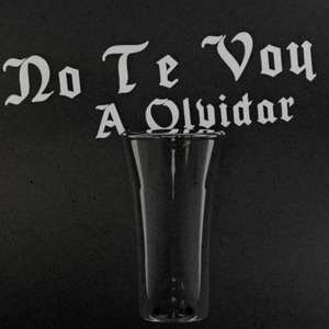 No Te Voy a Olvidar