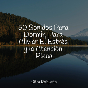 Orillas Alineadas