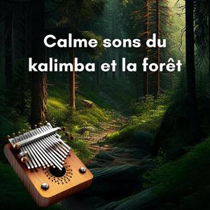 Accrocher le yoga