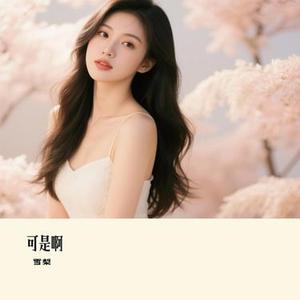可是啊 (雪梨 Remix)