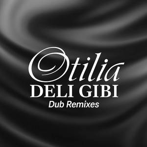 Deli Gibi (Harun Yildiz Dub Remix)
