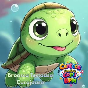 Broasca Testoasa Curajoasa