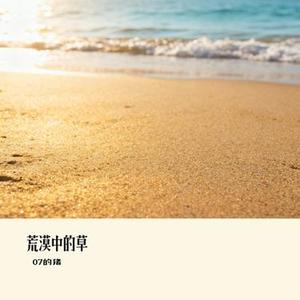 荒漠中的草