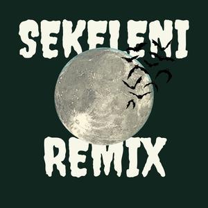 Sekeleni (feat. ExTrA & Dala Fam) (Remix)