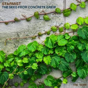 Iberica (Original Mix)