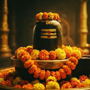 Shiv Bhakti Sagar