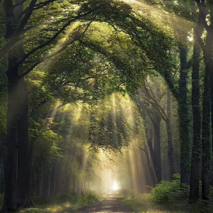 如果时光可以倒流 （Live）