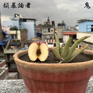 リンゴの種 (feat. 鬼) [Acapella]