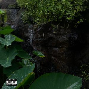 Wish You Were Us (feat. CH Jeyy)