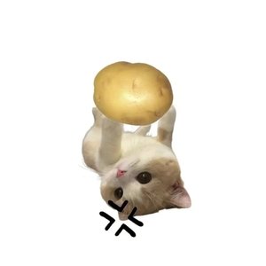 取景框