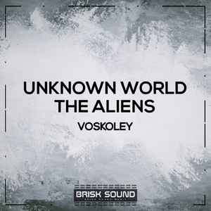 Unknown World (Original Mix)