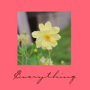 Everything